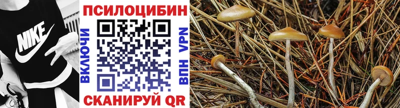 ОМГ ОМГ ONION Емва Галлюциногенные грибы прущие грибы